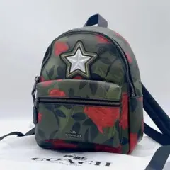 COACH リュック シグネチャー ビー ハチ柄 - メルカリ
