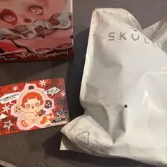 SKULLPANDA winter symphony Ode to Cocoa