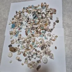 シーグラス 貝殻 大量セット ハンドメイド素材
