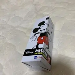 ミッキーマウス　ステンレスボトル
