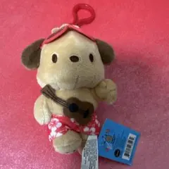 ポチャッコ ぬいぐるみ キーホルダー ハワイ ダイヤモンドヘッド限定