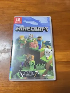 Minecraft Nintendo Switch