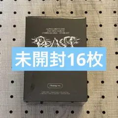 ALD1 UNBREAKABLE : 少年BEAST 新品未開封16枚