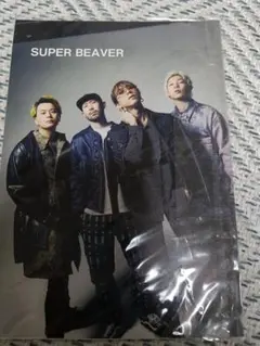 SUPER BEAVER ドームツアー 東京ドーム 2日目 ポストカード - メルカリ