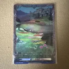 瑞々しき変容FR