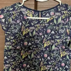 Item thumbnail for item d6dbeff9-1e8b-46e2-9317-a68b61fcaa4a