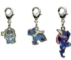 ポケモン ケロマツ ゲコガシラ ゲッコウガ メタルチャーム