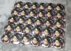 あんスタ TRIP 缶バッジ 蓮巳敬人 30点