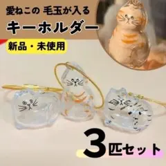 ぷっくりねこ クリアキーホルダー 愛猫　キーホルダー　ma34