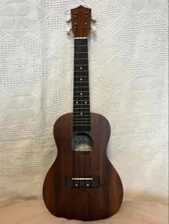 新品未使用｜Aria ACU-1K ウクレレ｜純正ソフトケース付き - メルカリ