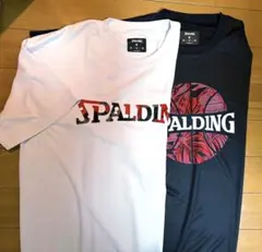 SPALDING Tシャツ XXL 3XL 2枚セットのサムネイル
