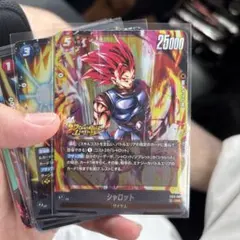 DRAGONBALL FB11