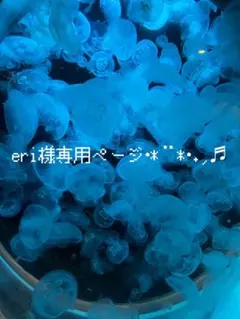 eri様 リクエスト 2点 まとめ商品