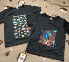 恐竜　Tシャツ ２枚セット　120