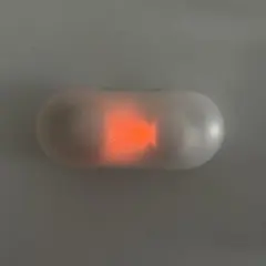 【ジャンク品】SONY WF-C500 ワイヤレスイヤホン ホワイト