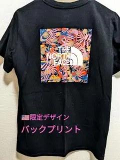 THE NORTH FACEノースフェイスTシャツ黒バックプリントレディース