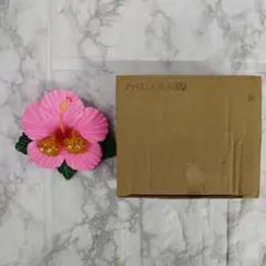 ハイビスカスとシーサーの置き物