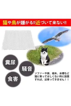 Item thumbnail for item a5d85c1a-7793-4a51-b42e-e8526fc35958