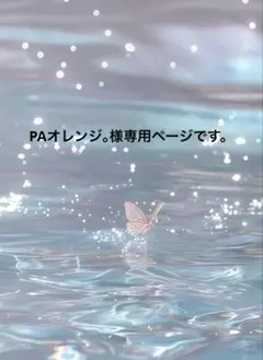 PAオレンジ様。専用ページです。