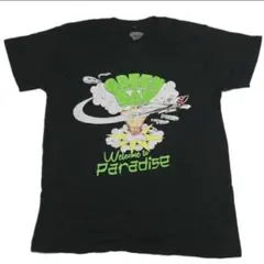 正規品 GREEN DAY Welcome to Paradise Tシャツ M