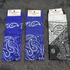 Item thumbnail for item 48c1cb45-4b5f-4893-ad67-0a372304db7c