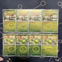 ポケモンカード MEGAドリームex スボミー、シェイミ