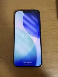 iPhone13ProMax256GB グラファイト 箱 充電ケーブル新品