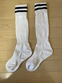 Item thumbnail for item 5a3e4bf3-69bb-45b6-a570-19b14e78db53