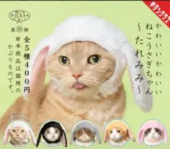 キタンクラブ ねこのかぶりもの たれみみうさぎ