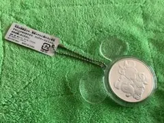 非売品ディズニーシー　ミッキー型アクリルキーホルダー