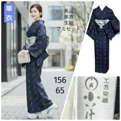 未使用近い　美品　単衣　正絹　生紬　小紋　専門店扱い　フルセット　4点