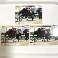 ホースレーシングトレーディングカード トレカ エリキング