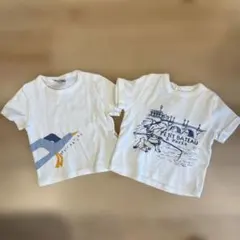 PETIT BATEAU Tシャツ 12m 2枚セット
