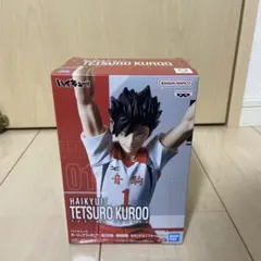 Haikyuu!! Tetsuro Kuroo ポージングフィギュア