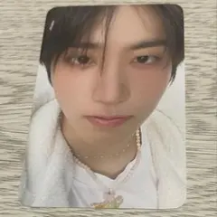 straykids スキズ ペンミ グッズ特典 トレカ ハン