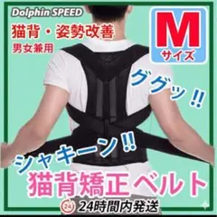 Item thumbnail for item 0c06c104-2234-497d-89cf-0ec4fa05efe1