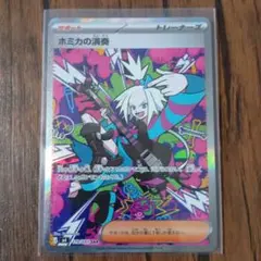 ホミカの演奏 sar ニンジャスピナー