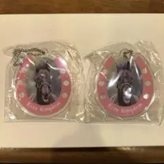 R@プロフ必読様専用 ローズキングダム アクリルキーホルダー 2点