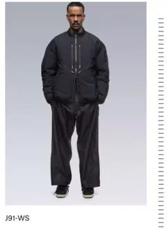 激レア美品ACRONYM ゴアテックス J91-WS Sサイズ 激レア美品ACRONYM ゴアテックス J91-WS Sサイズ - メルカリ