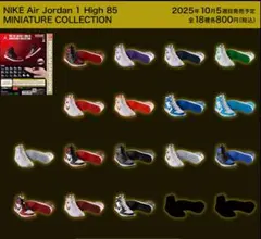 シカゴ カプセルトイ