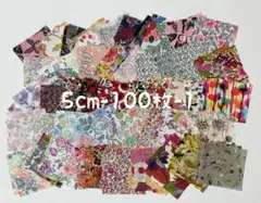 リバティ生地 ハギレ 5cm角×100枚 （5-100-1）
