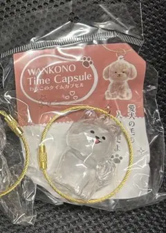 わんこのタイムカプセル(ラテ)