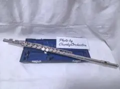 Item thumbnail for item 875a53c8-fd53-402b-8875-bd9fa29ab766