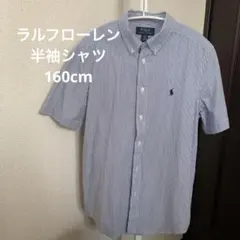 ラルフローレン　ストライプシャツL/G（14-16）160cm