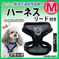 Item thumbnail for item 850104c9-aff7-487e-a67a-bb9882345dda