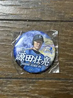 埼玉西武ライオンズ ユニフォーム 源田壮亮 ライオンズフェスティバルズ 缶バッジ