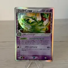 2025年最新】ジュカイン デルタの人気アイテム - メルカリ