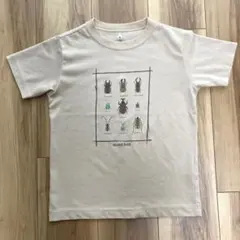 モンベル mont-bell ウィックロン 昆虫プリント 半袖 Tシャツ 130