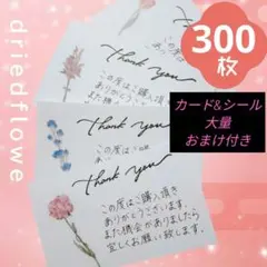 Item thumbnail for item 78511e1c-b319-4401-b7c6-4841da035b91