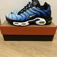 NIKE AIR MAX PLUS OG